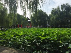 -四川大学(望江校区)