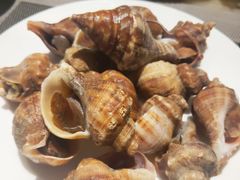 角螺-安蒂娅·海鲜自助餐厅(安蒂娅美兰酒店)