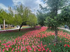 -长春公园(普阳街道)