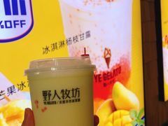 冰激淋杨枝甘露-野人先生现做冰淇淋(北京顺义祥云小镇店)