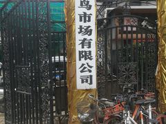 -武汉花鸟市场