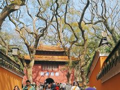 -普陀山风景名胜区-法雨禅寺