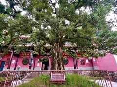 -岳麓山风景名胜区