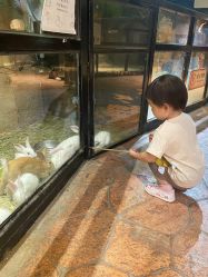 -酷嗒动物文化乐园(cutezoo西溪乐天城店)