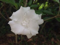 -金山植物公园