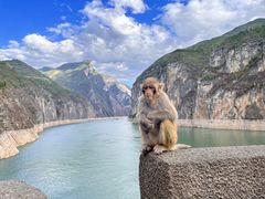 -白帝城·瞿塘峡景区