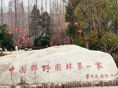 -习家池