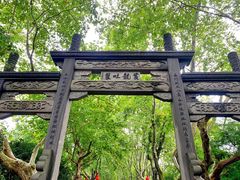 -杭州黄龙洞