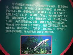 -西安曲江海洋极地公园