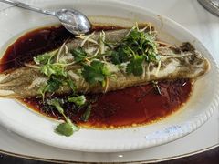 -水上人家河鲜
