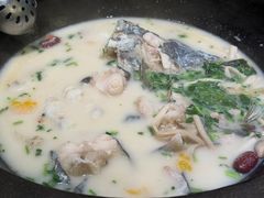 -鲜潭蒸汽石锅鱼(五道口购物中心店)