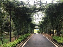 -武汉紫薇都市田园