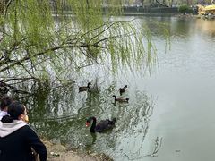 -南通濠河风景名胜区