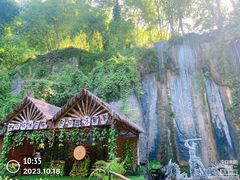 -西双版纳原始森林公园