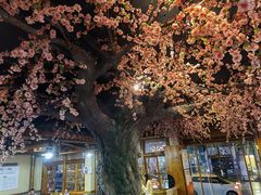 -张关合渣(朱家坳店)