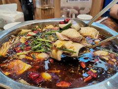 -乡土特色.冷锅鱼.牦牛肉汤锅