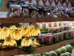 -百果园(愉景南苑店)