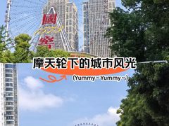 -星城之眼摩天轮