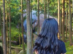 -玉苍山国家森林公园