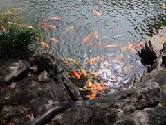 -孔氏南宗家庙