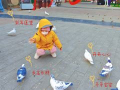 -中粮·祥云小镇