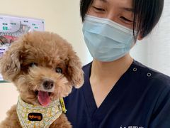 -爱妮康宠物医院·干细胞免疫细胞·肿瘤·心脏(张江店)