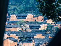-杨家堂村