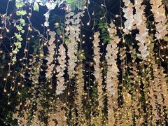-阿鹏故事云南野生菌火锅(人民路店)
