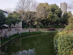 -荆川公园