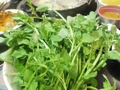 -丫丫汤膳打边炉(宏府408坊店)