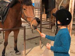 -月河湾马术俱乐部(朝阳店)