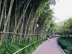 点击看大图 -馨月汇·一悦馨香月子中心(前滩店)