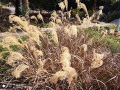 -宝界山林公园
