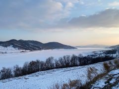 -庆岭迎宾园正宗活鱼馆