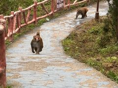 -环翠峪风景区