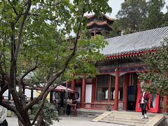 -宫事颐庭·老佛爷贵寿下午茶(颐和园店)