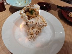 赤焰海螺-YAMAKAWA(龙湖胥江天街店)