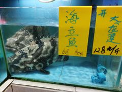 -海大大蒸汽海鲜餐厅·粤菜·特色小炒(欢乐颂店)