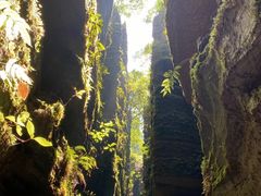 -梭布垭石林景区