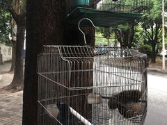 -腾益清真铜瓢牛肉馆