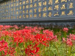 -西安大兴善寺