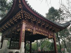 -汇龙潭