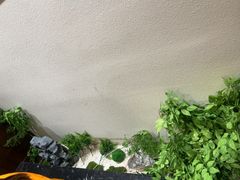 -俏东方·海味水饺·青岛菜(崂山店)