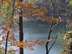 -千岛湖东南湖区