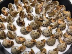 -宝轩渔府·老字号海鲜·正宗津菜(水上店)