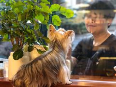 -Be Lived Cafe比例咖啡(摩天轮店)