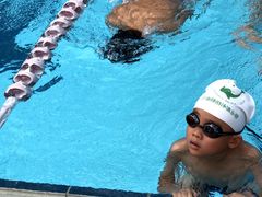 -海豚之星游泳俱乐部(喜来登馆)