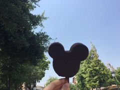 -迪士尼火鸡腿