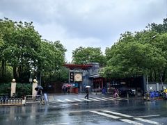 -莲花池公园
