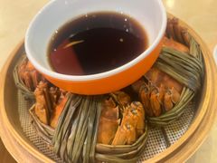 -杨氏青龙虾·羊蝎子(珠江路店)